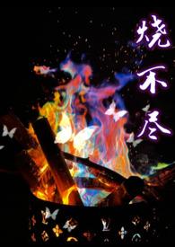 烧不尽txt完整+番