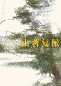 由著复微txt资源
