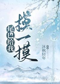 尾巴给我摸一摸作者沐枫轻年