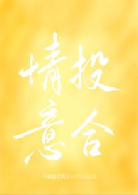 情投意合轻阅读