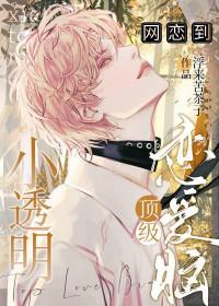 小透明的爱情txt