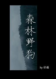 森林里狗