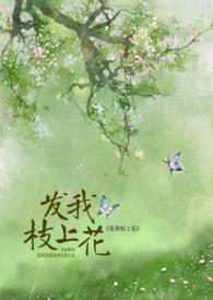 发我枝上花快穿