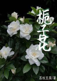 作者栀子花的全部
