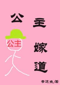 公主嫁到讲的什么