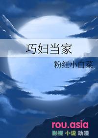 巧媳妇儿当家的故事