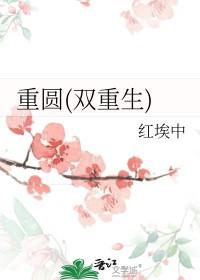 重圆(双重生)番外