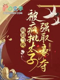 被疯批太子强取豪夺完结TXT