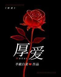 厚爱有加什么意思