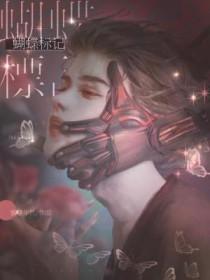 蝴蝶标致是什么品牌