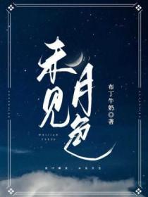 未见星月是什么意思