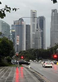 丛林法则2021哔哩哔哩