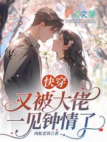 快穿禁忌沉沦作者肉松老贝/著
