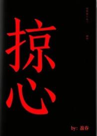 掠心by盈春林舒与全文