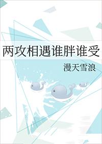 两攻相遇文