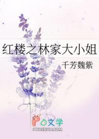 红楼之林家大爷