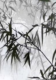 听雨喝茶看书