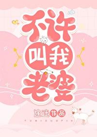 不许叫老婆封面标题