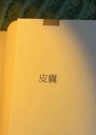 皮囊(出轨)