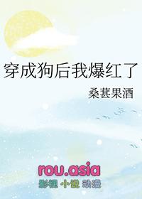 我穿成狗血文的攻二
