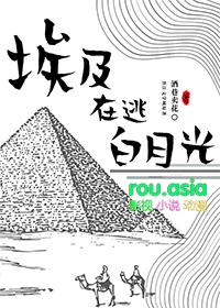 逃到埃及