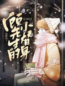 ABO顾先生的小替身海鸥岛