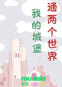 我的世界100×100城堡