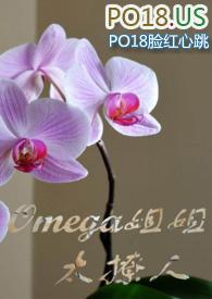 omega姐妹