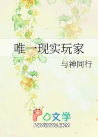 唯一游戏玩家