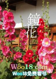镜花同人图