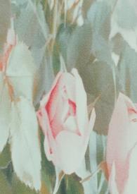 谁来拯救我作文