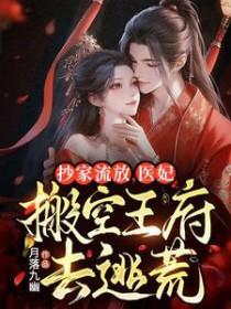 抄家流放医妃搬空王府去逃荒txt百度