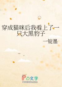 穿成猫咪后我看上了一只大黑豹子免费阅读