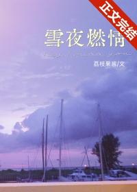 雪夜燃情40集全免费观看