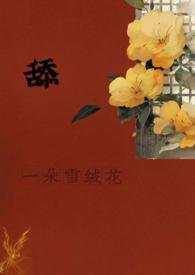 吉林省长春市有朝阳区吗