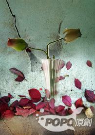 医生救救我季婷婷梁衍免费