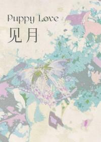 见肿消的功效与用法