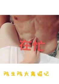 陈生陈太离婚记无删减