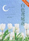 白色鸢尾花全文免费笔趣阁