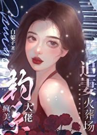 疯美钓系大佬追妻火葬场是he吗