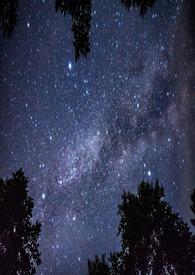 绝对吸引漫画全集免费阅读