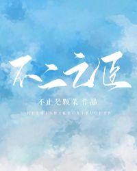 不二之臣开机