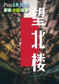 望北楼txt盘