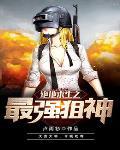 绝地求生之最强狙神李衍免费