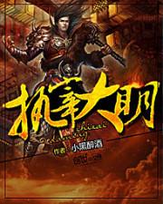执宰大明朱元青