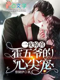 一夜惊喜霍念念