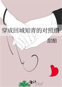 穿成回城的知青女配txt