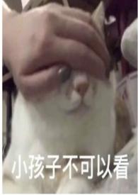 圈养为枝