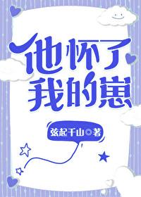 他怀了我的孩子弦起千山免费阅读