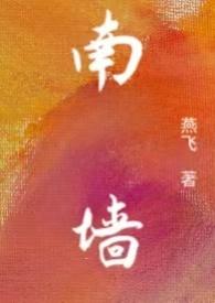 南墙已撞